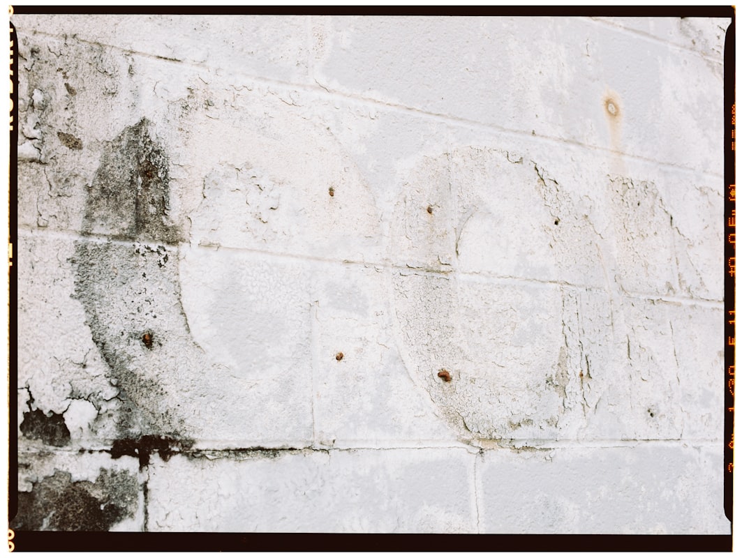 Water Extraction service in Utica, NY